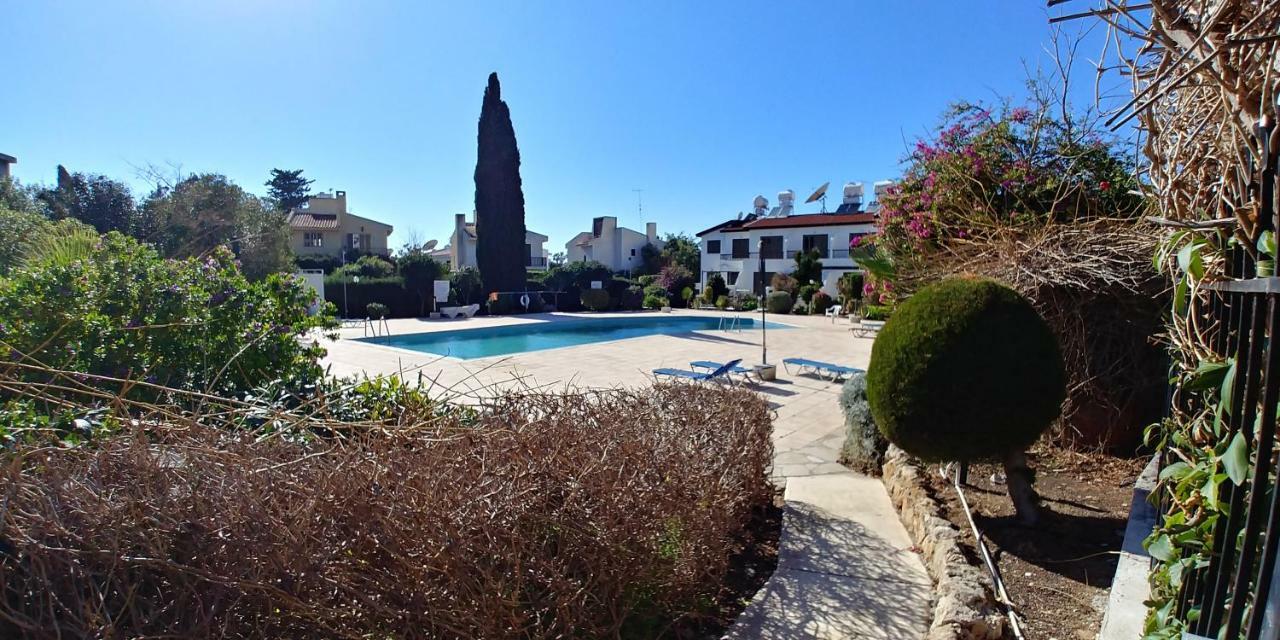 'Chez Antoine' Pool-View 5Min From Sea Daire Pafos Dış mekan fotoğraf